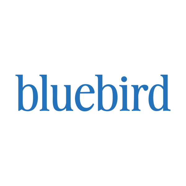 Lingua Franca Zig Zag Jacquard Pullover – Bluebird